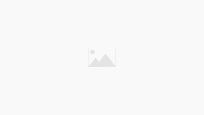 blogs