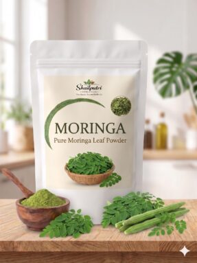 Home monstera deliciosa